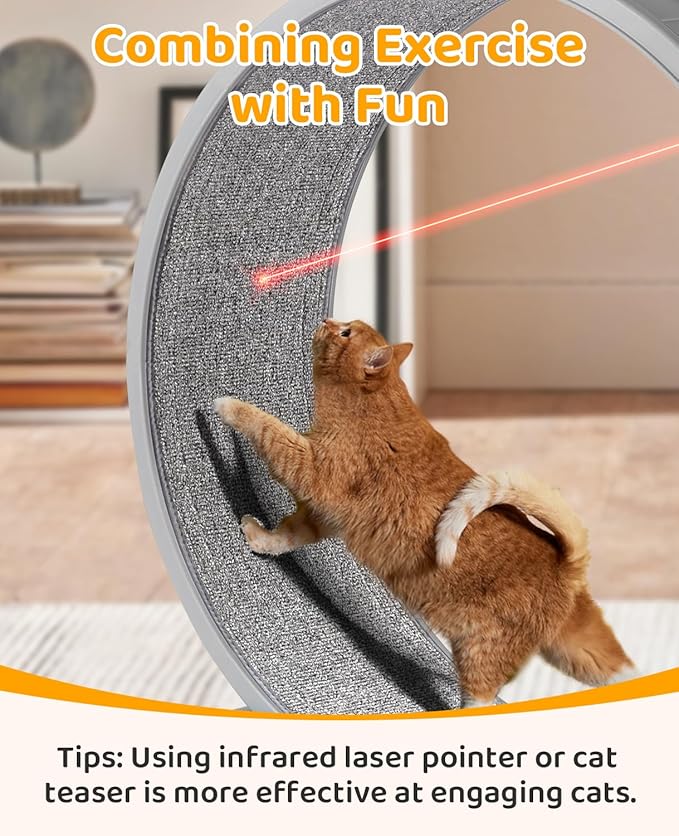 VINGLI Cat Wheel, Cat Treadmill with Carpeted Runway, Cats Running Wheel for Daily Exercise and Weight Loss, Gray