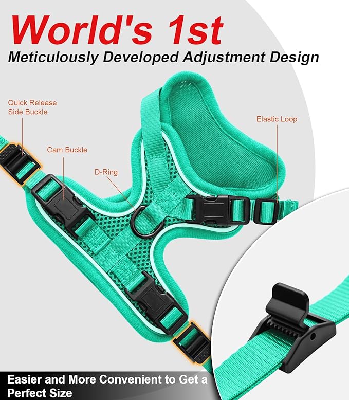 Cat Harness and Leash for Walking Escape Proof Soft Adjustable Cat Leash Breathable Comfortable Vest Easy to Wear Kitten Harness for Outdoor Travel Emerald XS