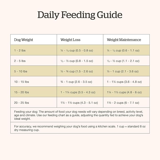 Now Fresh Grain-Free Small Breed Senior Dry Dog Food with Turkey, Salmon & Duck, Premium Kibble Made with Real Meat & Fish, Chicken-Free, Added Glucosamine & Chondroitin for Healthy Joints, 6 lb Bag