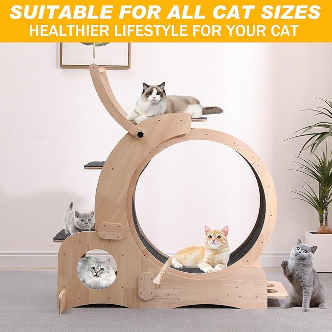 Cat Wheel 7-in-1 Upgraded Exercise Treadmill for Indoor Cats,Cat Treadmill with Silent Running Wheel, Cat Tunnel, Cat Wheels for Indoor Cats, Perfect Cat Jym & Toy for Endless Fun & Fitness