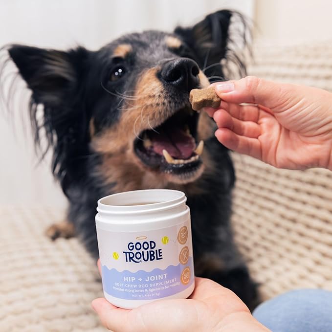 Good Trouble Pets Hip & Joint Supplement for Dogs - Bacon & Chicken Flavor, 30 Chews - Enhance Joint Health & Mobility for Your Canine Companion (Packs of 3)