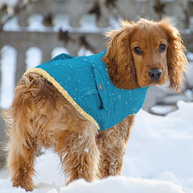 Queenmore Dog Winter Coat Warm Puffer Jacket Waterproof Plush Lining Thermal Cold Weather Vest for Small Medium Large Dogs, Windproof Easy On Pet Jacket Blue M