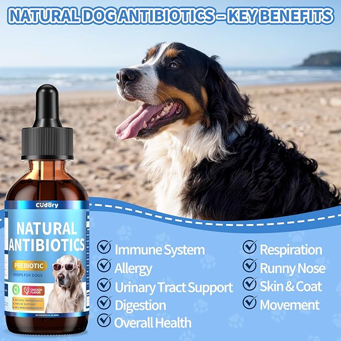 Natural Antibiotics for Dogs, Herbal Dog Antibiotics Supplement in Drops with Prebiotics, Natural Herbal Supports for Dogs Puppy All Breeds and Ages-Chicken Flavor | 2 fl oz