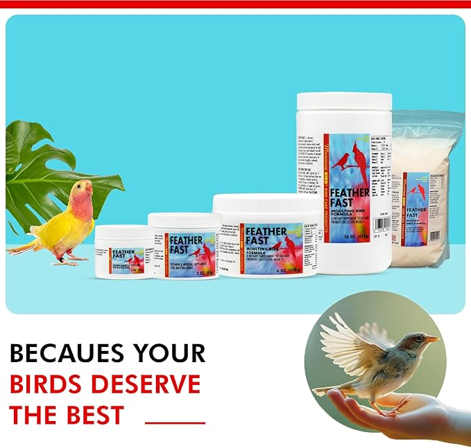 Morning Bird Feather Fast 3 lbs – Multi-Vitamin During Molt - Molting Support Supplement for Bird – Amino Acid & Vitamin Powder Formula– Promotes Feather Growth, and Full Plumage – for All Adult Birds