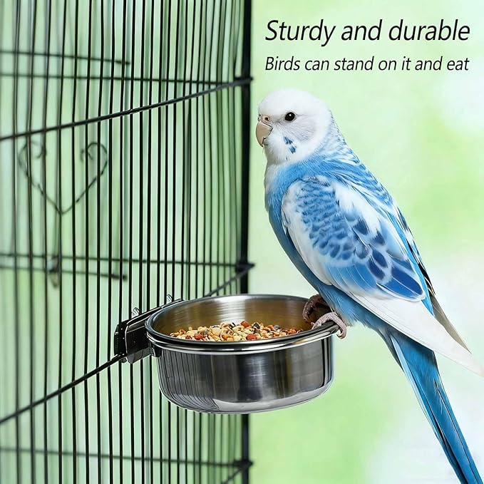 2 Pcs Stainless Steel Bird Food Water Bowls, Parrot Feeding Dish Cups with Clamp Holder Bird Ball Toys for Chinchilla, Cockatiel, Conure, Budgies, Parakeet, Lovebirds, Small Animals (Small)