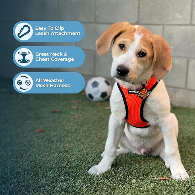 Best Pet Supplies - All Weather Mesh, Reflective, No Pull Harness for Small, Medium Dogs, Cats - Secure with Hook & Loop Fastener, Buckle, Double D-Rings - Orange/Black Trim, XS