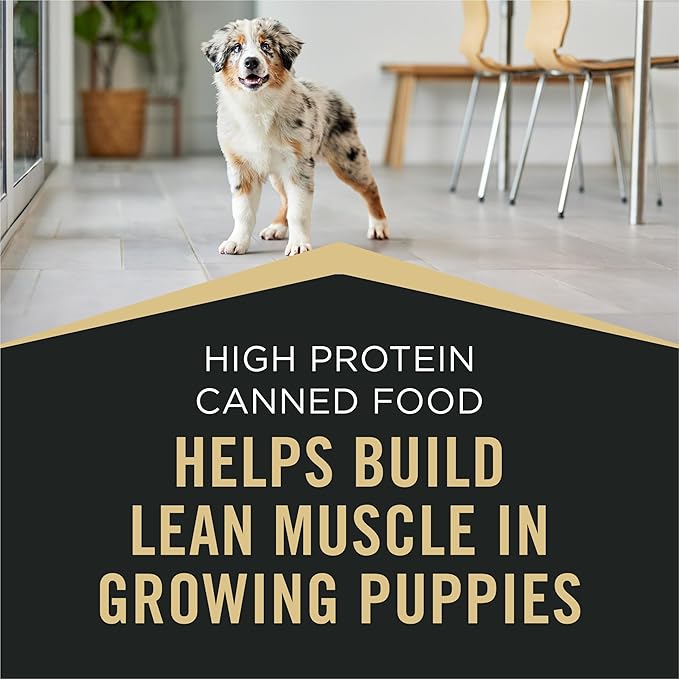 Purina Pro Plan Sport High Protein Wet Puppy Food Beef and Rice Entree and Chicken and Rice Entree Variety Pack - (Pack of 12) 13 oz. Cans