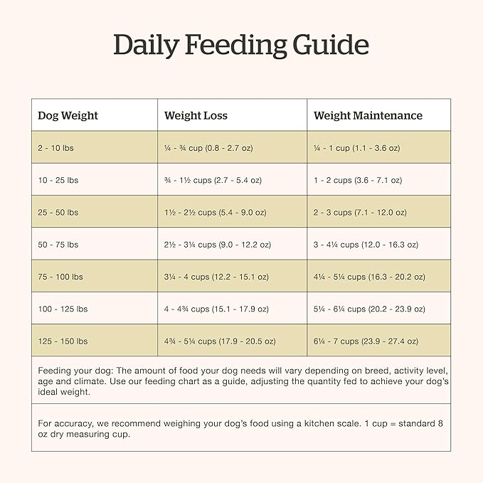 Now Fresh Grain-Free, Dry Dog Food, Real Meat and Fish, Turkey, Salmon and Duck Adult Recipe, All Breed Size, 3.5 lb Bag