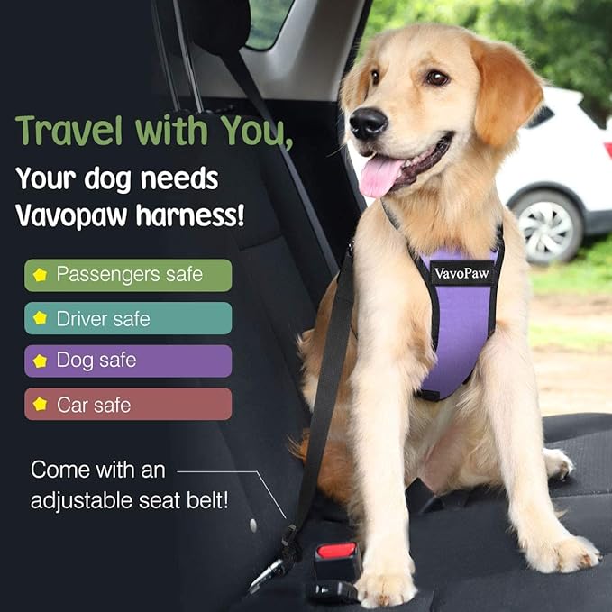 Dog Seat Belt, Safety Vest Dog Car Harness with Adjustable Buckle Dog Seat Belt for Vehicle Nylon Pet Safety Seat Belts Heavy Duty(M, Purple)