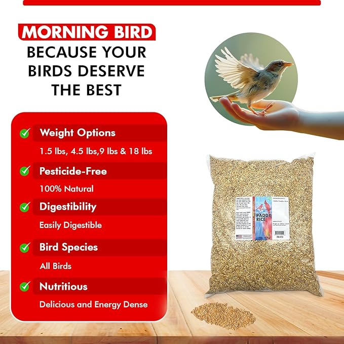 Morning Bird Paddy Rice 9 lbs Bird Seed for Optimal Health & Nutritious Pet Bird Food – Supports Feathers & Immunity – Ideal for All Seed Eating Birds.