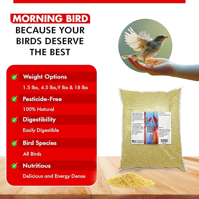 Morning Bird Hulled Millet 9 lbs – Nutritious Hulled Millet Seed, Easily Digestible with High Fiber, Rich in Vitamins and Supplements for Birds, Ideal Bird Feed for All Bird Types.