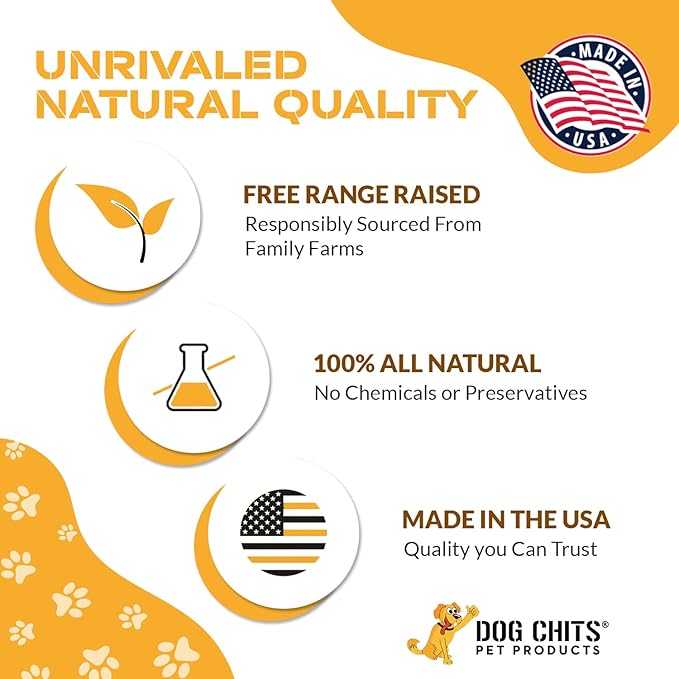 Dog Chits Bully Sticks for Dogs and Puppies | 12-inch, 6 Pack | Natural Healthy Long Lasting Chew for Large and Small Dogs Protein Treats | Odor Free