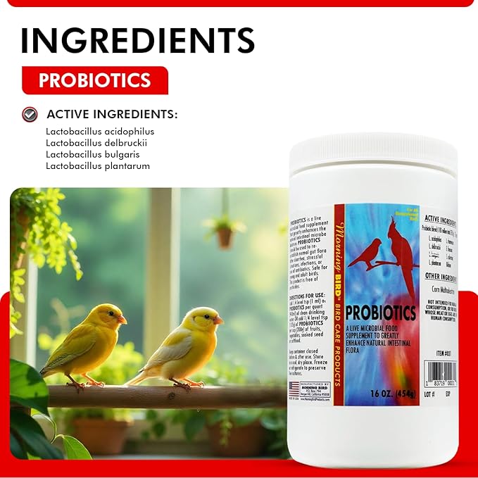 Morning Bird Probiotics for Birds 16 oz– Digestive Health Supplement with Supports Gut Balance, Nutrient Absorption & Immune Support – Easy Mix Powder Supplement for All Bird Species