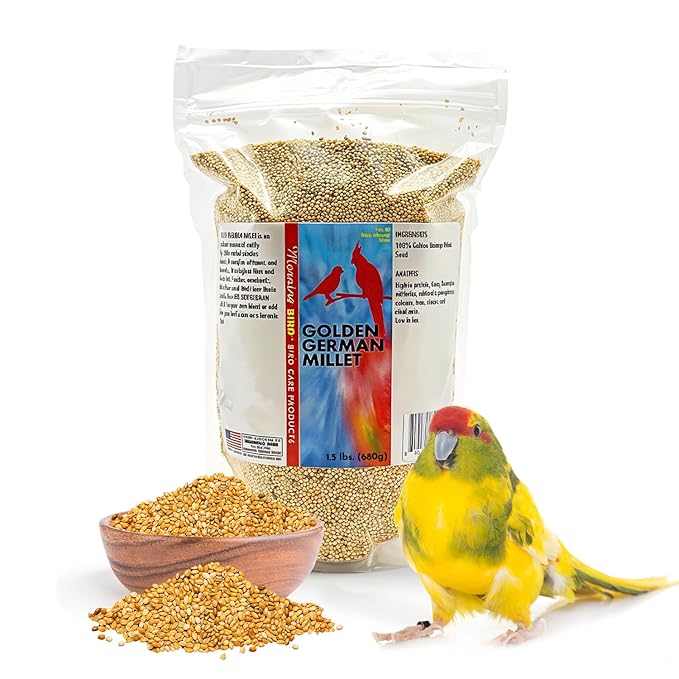 Morning Bird Golden German Millet – Bird Seed & Parakeet Food with Protein, Vitamin B & Fiber – Easy-to-Digest Millet Seed, Natural Food & Daily Nutrition Supplement for All Type of Bird 1.5 lbs