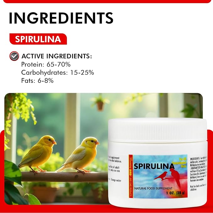 Morning Bird Spirulina 1 Oz Supplement for Caged Birds, Organic Bird Food Supplement with Vitamins, Proteins, and Amino Acids for Parakeets, Cockatiels, Budgies, Finches, Canaries, and Parrots