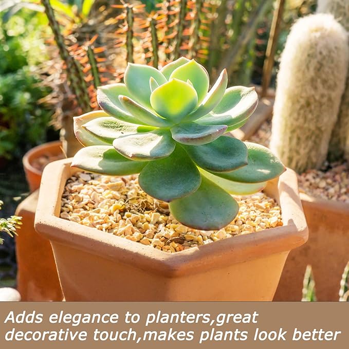 5Lbs Aquarium Gravel, 1/5" Fish Tank Gravel, Succulent Cactus Rocks for Plants Indoor Outdoor, Pea Gravel for Landscaping Vases, Terrarium,Top Dressing, Flower Pots