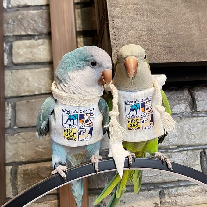 Bird Costume Diaper Flight Suit Frog Shape Hoodie Clothes Cosplay Photo Prop for Parrots Parakeet Cockatiel Sun Conure, Small Animals Apparel (White Without Hat, Large) (BPF1)