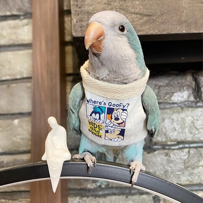 Bird Costume Diaper Flight Suit Frog Shape Hoodie Clothes Cosplay Photo Prop for Parrots Parakeet Cockatiel Sun Conure, Small Animals Apparel (White Without Hat, Large) (BPF1)