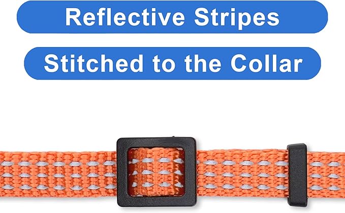 Pawtitas Reflective Cat Collar with Safety Buckle and Removable Bell Cat Collar Kitten Collar Orange Cat Collar One Size