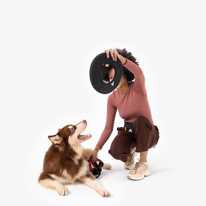 OllyDog Super Flyer | Durable Dog Frisbee | Soft & Lightweight Flying Disc | Gentle on Teeth & Gums | Water-Resistant Outdoor Toy (Raven)