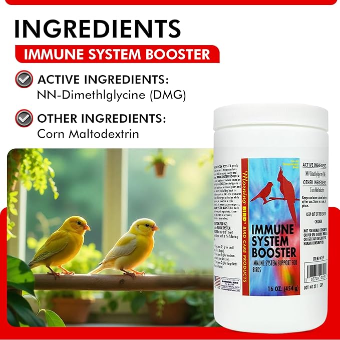 Morning Bird Immune System Booster 16 Oz - Energy Supplement for Birds – Natural Amino Acid Powder – Boosts Stamina, Cellular Health & Oxygen Use – Vitamin Powder for All Bird Species