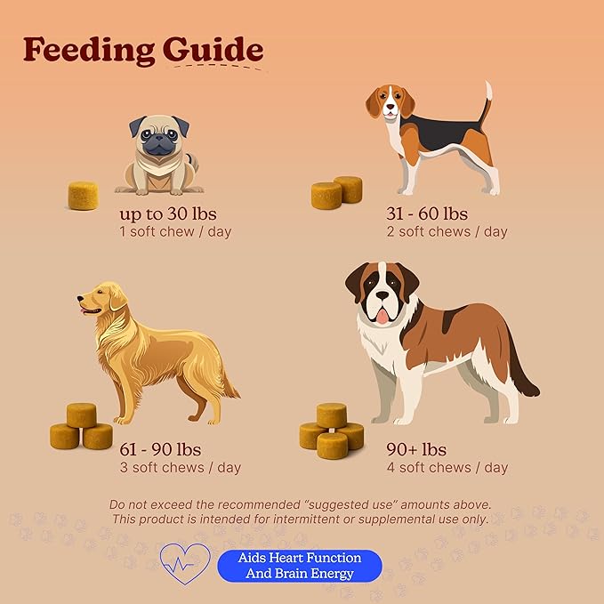 Longevity Dog Multivitamin, 11-in-1 Chicken Flavor Daily Chews | Supports Hip & Joint, Immune System, Skin & Coat, Heart, Energy & Vitality | Dogs 1 Year & Older (60 Count)