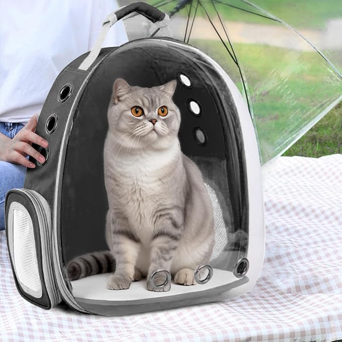 Cat Backpack Carrier Bubble Expandable Foldable Breathable Pet Carrier Dog Carrier Backpack for Large Big Cats Hiking, Travelling, Camping (Back Expandable-Black)