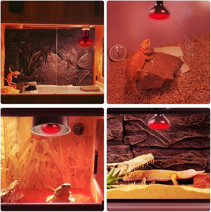 LUCKY HERP Infrared Heat Lamp 100W 2 Pack,Reptile & Amphibian Basking Spot Light Bulbs, Red Heat Lamp Bulbs for Reptiles, Bearded Dragon, Turtle, Lizard, Snake, Chicken