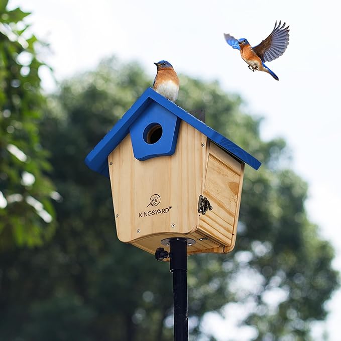 Kingsyard Blue Bird House for Outside - Cedar Wood Nesting Box with Clear View Panel & Predator Guard for Bluebird Wren Cardinal Swallow Finch, Royal Blue