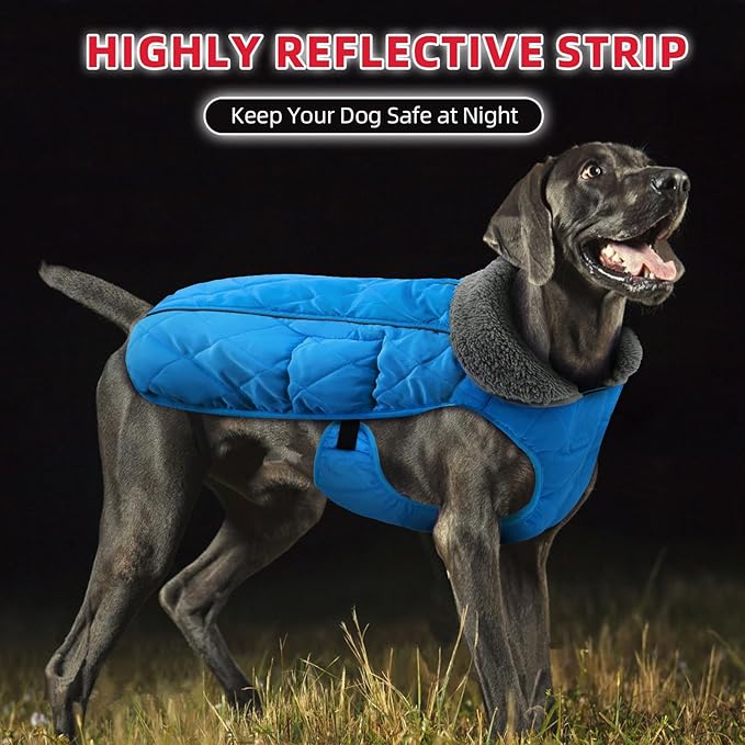 Doglay Dog Coat, Waterproof Dog Jacket Pet Winter Coat for Cold Weather with Thicken Furry Collar, Reflective Puppy Winter Jacket Warm Fleece Lining for Small Medium Large Pets
