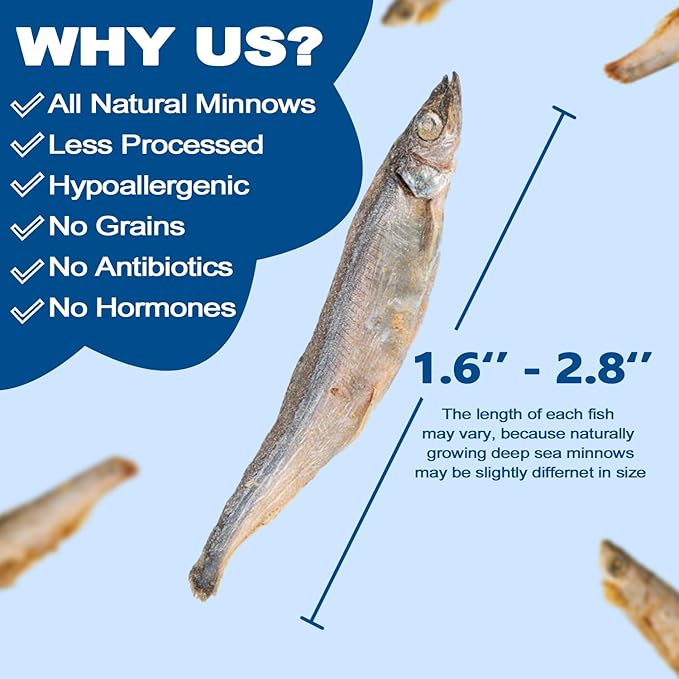 Amzey Minnows - 3.5 oz Freeze Dried - 100% Natural Premium Cat & Dog Treats - Bulk Package (1.6" to 2.8" Length Each)