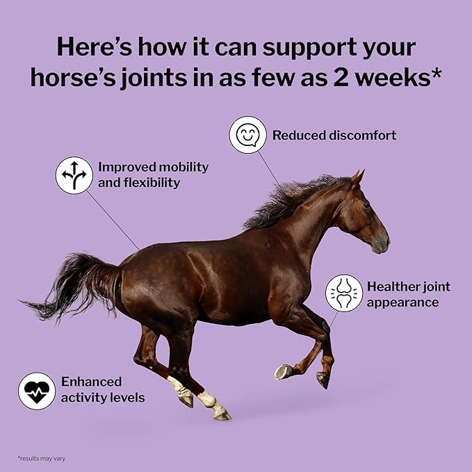 Formula 707 Joint 6in1 Equine Supplement, Daily Fresh Packs – Support for Joint Integrity and Inflammatory Response in Horses – Green-Lipped Mussel, MSM, Glucosamine, Chondroitin & Collagen