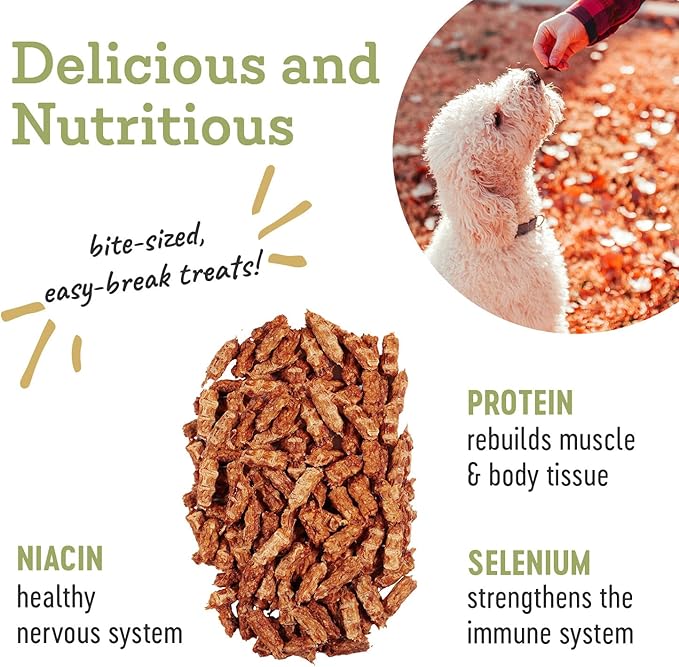 Farm Hounds - Chicken Trainers - Premium Natural Jerky for Dogs - 100% Humanely Raised Chicken - Easy-Break - Great for Training & Treats - No Added Fillers - Made in USA - 4.5oz - 2 Pack