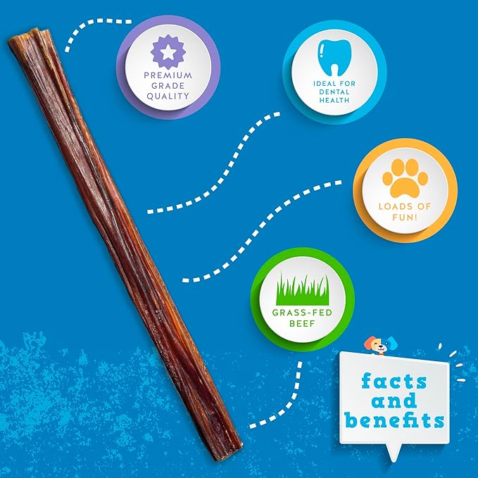 Jack&Pup 12 Inch Skinny Bully Sticks for Small Dogs | Thin Odor Free Bully Sticks Sheaths | All Natural, 100% Beef Pizzle Sticks for Seniors and Puppies (Skinny, 12 Pack)