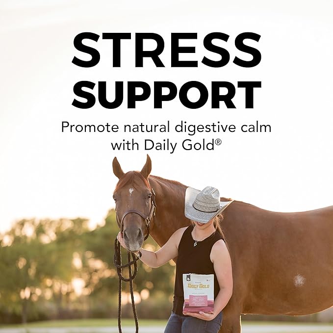 Daily Gold® Mood Support - Horse Gut Supplement