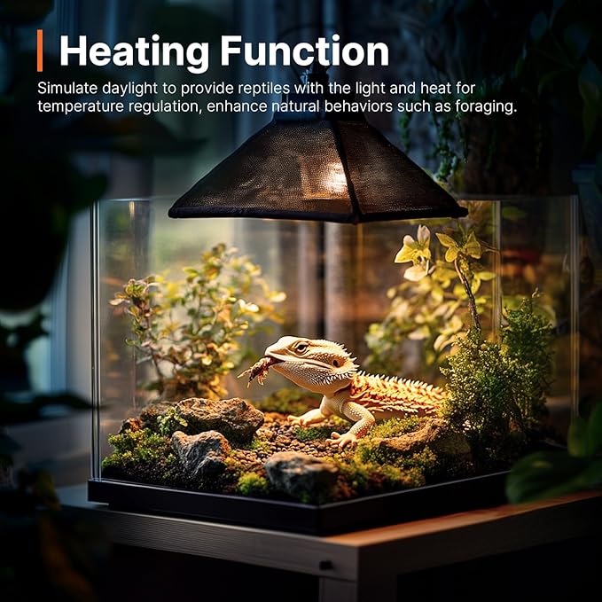 ALAMPEVER 2 Pack Reptile Heat Bulb, 75W Basking Light for Bearded Dragon, E26 Base, Durable Basking Bulb for Amphibian, Lizard, Tortoise, Gecko