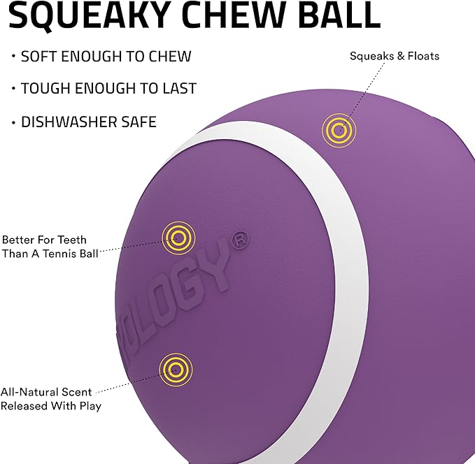 Playology Dog Toys | Squeaky Chew Ball - Bouncy Durable Floating Fetch Ball for Dogs, Value 2-Pack | Medium Bacon Scented Toy - Easy to Clean and Made from Non Toxic Materials