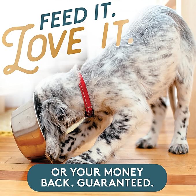 The Missing Link Pet Kelp Canine Skin & Coat 8oz Superfood Powdered Supplement, Organic & Limited Ingredient Formula for Dogs