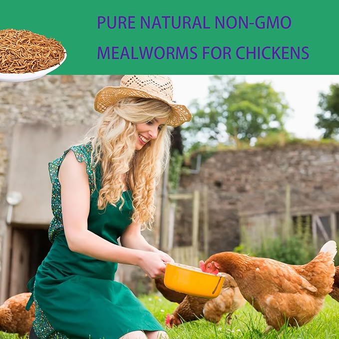 KAYHEN Dried Mealworms for Chickens 5LB Pure Natural Non-GMO High Protein Feed Meal Worms for Laying Hens Wild Birds