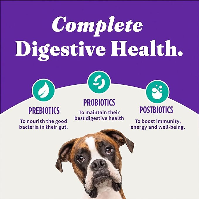 Halo Holistic Vegan Dog Food, Plant-Based Recipe with Kelp, Dry Dog Food, Complete Digestive Health, Kibble for Adult Dogs, 10 lb Bag