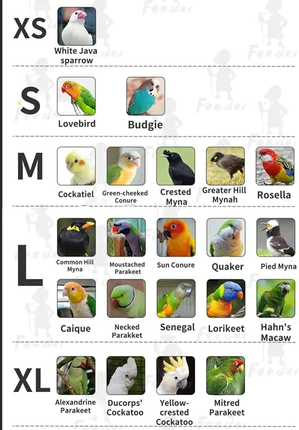 Bird Costume Diaper Flight Suit Bee Shape Hoodie Clothes Cosplay Photo Prop for Parrots Parakeet Cockatiel Sun Conure, Small Animals Apparel (Bee with Diaper, Medium), Green (BPF1)