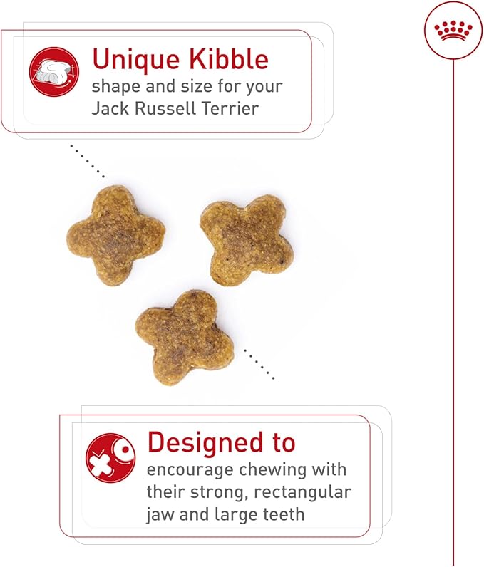 Royal Canin Jack Russell Terrier Adult Dry Dog Food, 10 lb bag