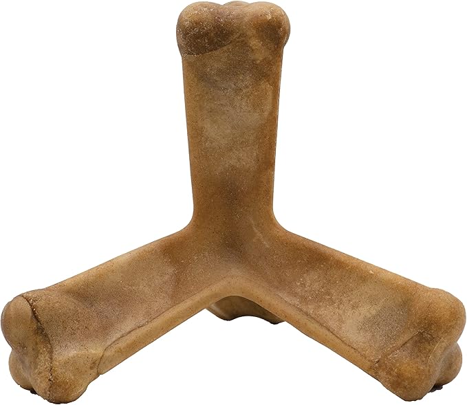 N-Bone Quado Interactive Chew, Pumpkin Flavor, Average Joe, 2.8oz