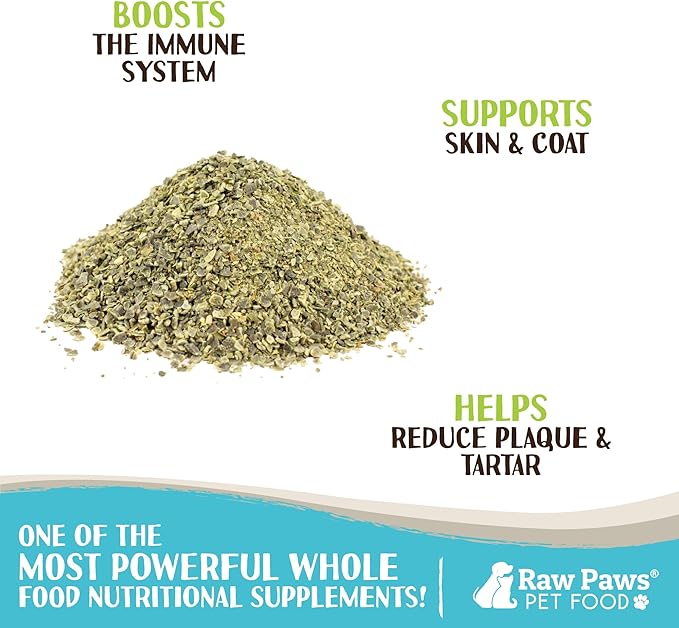 Raw Paws Organic Kelp Powder for Dogs & Cats (16-Ounce) - Supports Thyroid, Digestive & Immune Health - Dried Sea Kelp for Dogs - Seaweed Powder Supplement