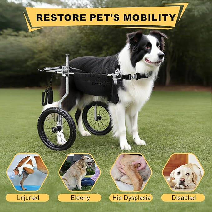 All-Terrain Dog Wheelchair for Back Legs - Lightweight & Adjustable for Medium to Large Dogs - Easy to Assemble Mobility Aid