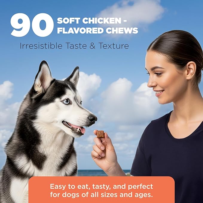 Hip & Joint Supplement Chews for Dogs, Chicken Flavor, 90 Soft Chews - Glucosamine - Chondriotin - Hemp Oil - Turmeric - MSM- Hyaluronic Acid - Hemp Seed Meal