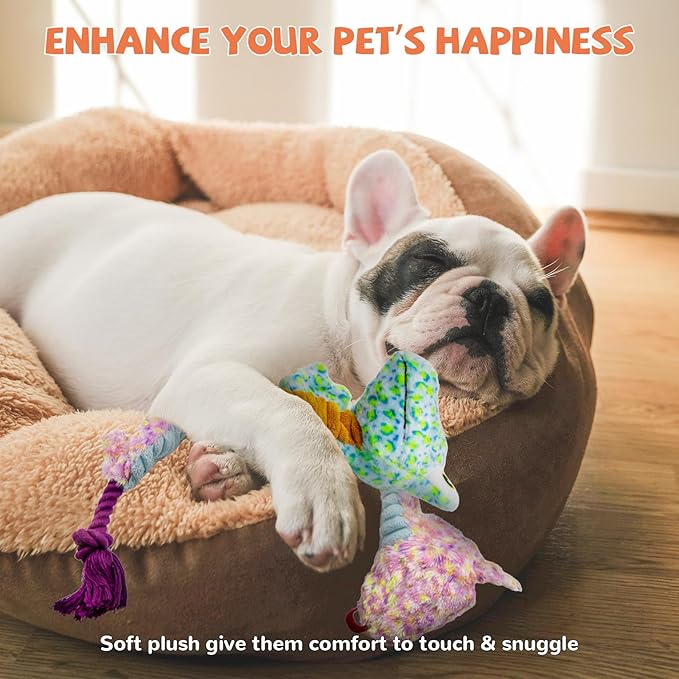 Crinkle Dog Toys Squeaky Plush No Stuffing Cute Puppy Stuffless Tough Rop Pull Toy, Fun Dog Stuffed Animals Durable Chew Set for Small Medium Large Pup (Large, Snake+Lizard)