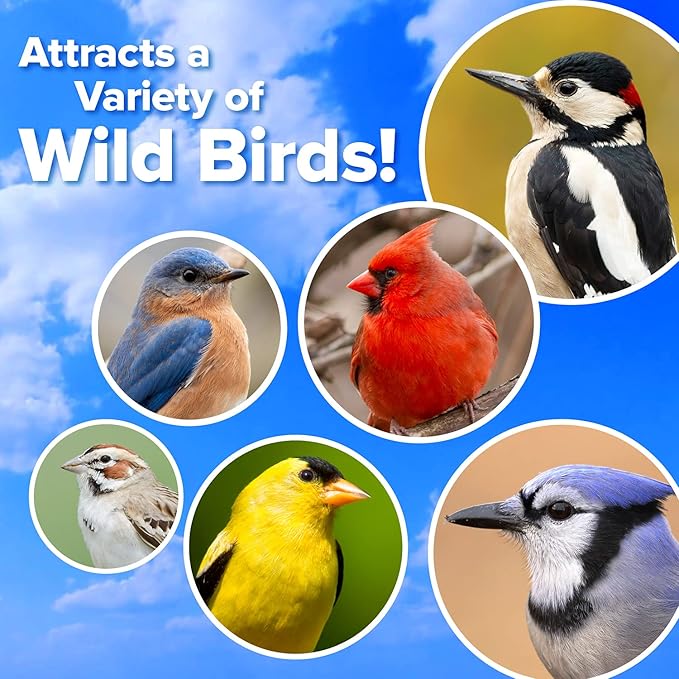 Blue Seal Suet Treat Bars for Wild Birds - No Mess Suet Feed, Food for Woodpeckers, Cardinals, Siskins, Sparrows & More - 8 oz Suet Feeder, Bird Seed Cakes (Variety Pack of 6)