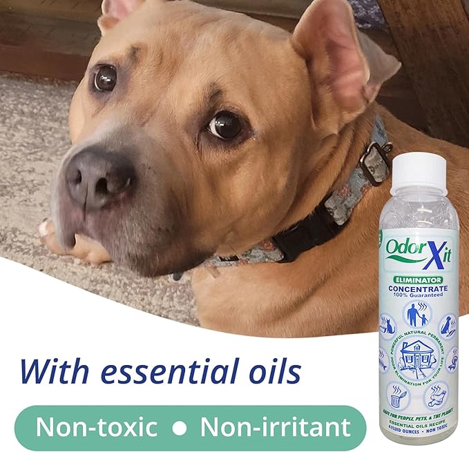Pet Urine Odor Eliminator Spray 16oz + Concentrate 4oz – Natural, Safe & Effective Odor Neutralizer for Pets & Home