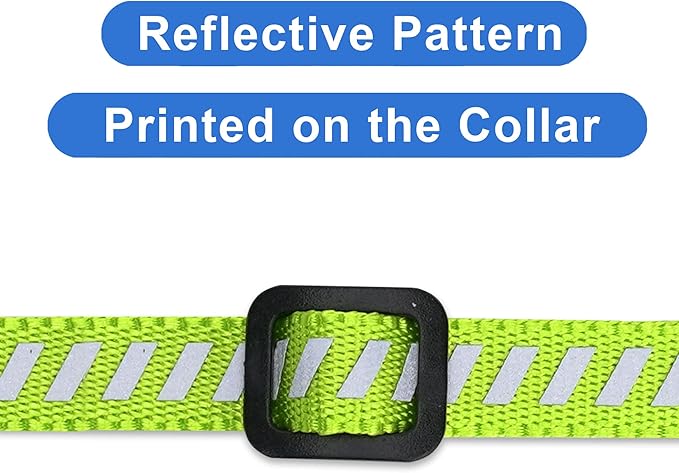 Pawtitas Personalized Cat Collar With Breakaway Safety Release Buckle Adjustable Length
